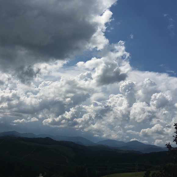 Meet your Posher, Melissa - Picture 1 of 1