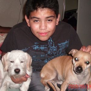 Meet your Posher, Luz