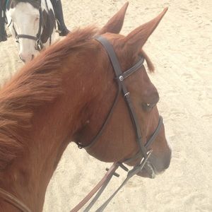 Meet your Posher, Devin