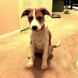 Meet your Posher, Kady