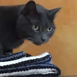 Meet your Posher, Katy