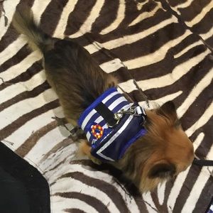 Pet clothing little sailor style