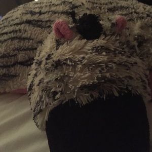 Zebra pillow pet