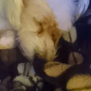 Meet your Posher, Lydia