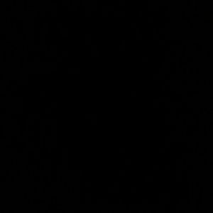 Meet your Posher, Rae