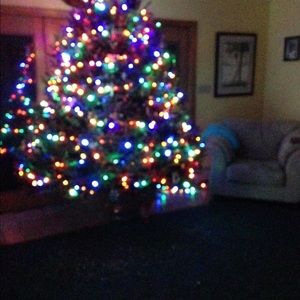 Meet your Posher, Jane