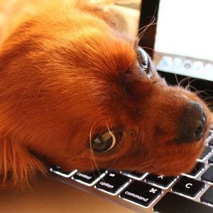 Meet your Posher, Jody