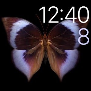 Meet your Posher, Samah