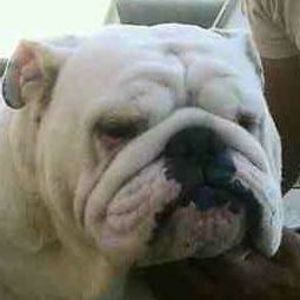 Meet your Posher, Angelica