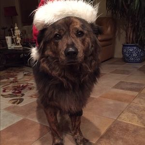 Meet your Posher, Josh