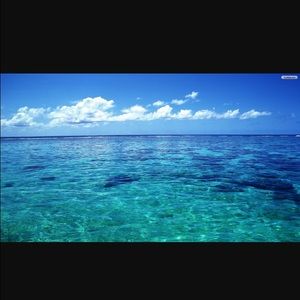 Meet your Posher, Aliyah