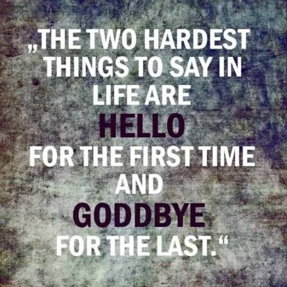 Meet your Posher, Jessica - Picture 1 of 1