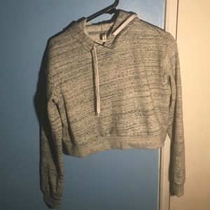 Gray Cropped Sweatshirt