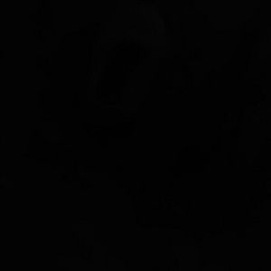 Meet your Posher, Damon