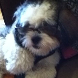 Meet your Posher, Regina