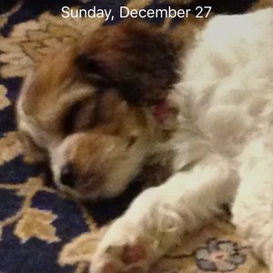 Meet your Posher, Gail