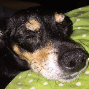 Meet your Posher, Rachel