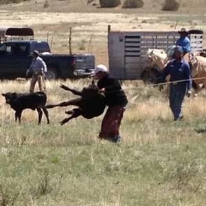 Meet your Posher, Jesse