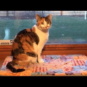 Meet your Posher, Shawn