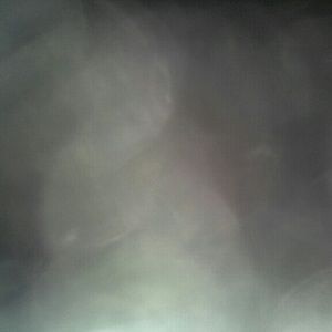 Meet your Posher, Shelly