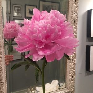 Exclusive listing for laneighbor