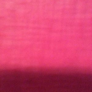 Meet your Posher, Izzy