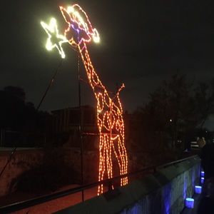 Meet your Posher, Kristi