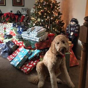 Meet your Posher, Amber