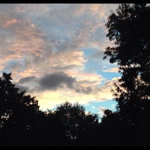 Meet your Posher, Kourtney