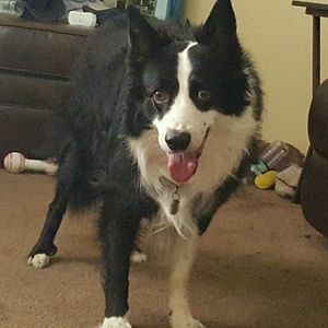 Meet your Posher, Ernest