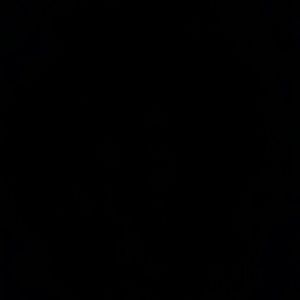 Meet your Posher, Dianna