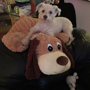 Meet your Posher, Jamie