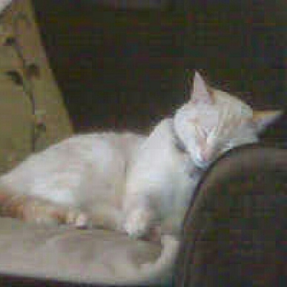 Meet your Posher, Jasmine