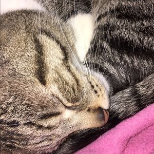 Meet your Posher, Molly