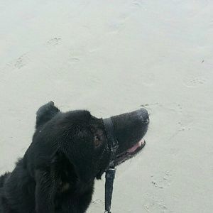 Meet your Posher, Patricia