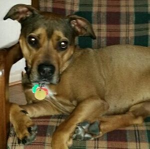 Meet your Posher, Julie