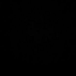 Meet your Posher, Antonio