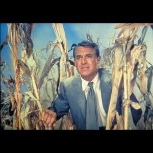 Meet your Posher, Lee