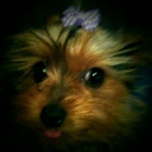 Meet your Posher, Patty