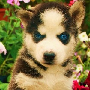 Meet your Posher, Kendra