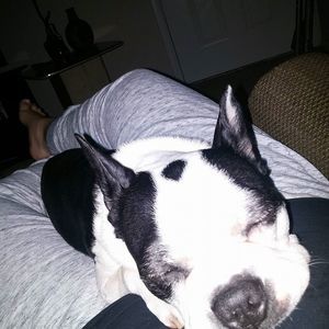 Meet your Posher, Gabbie