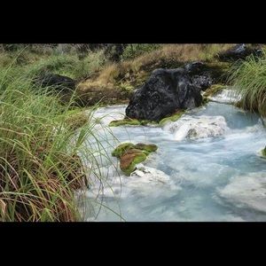 Meet your Posher, Vivi