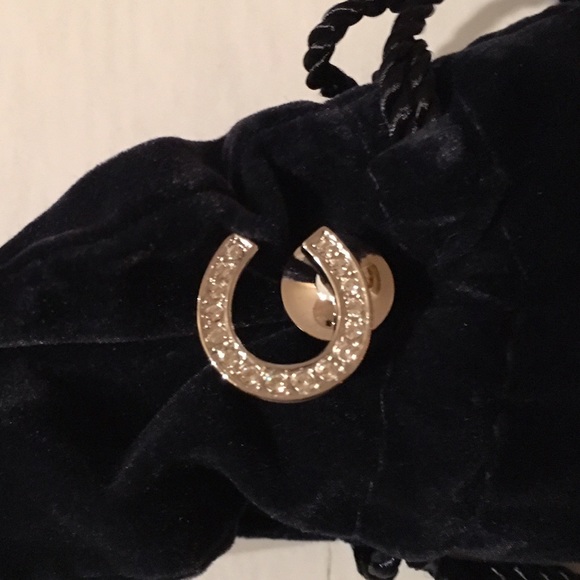 NWT Swarovski Esperanza Horseshoe Exclusive Pin💎