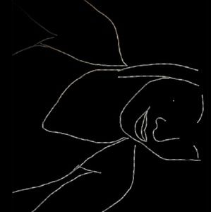 Meet your Posher, Karla