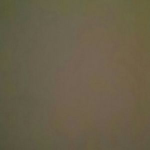 Meet your Posher, Torrell