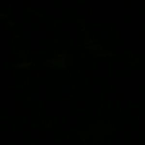 Meet your Posher, Sonya