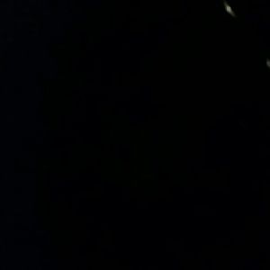 Meet your Posher, Frankie