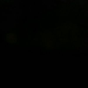 Meet your Posher, Dolly