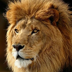 Meet your Posher, Jared