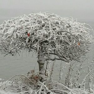 Meet your Posher, Sue